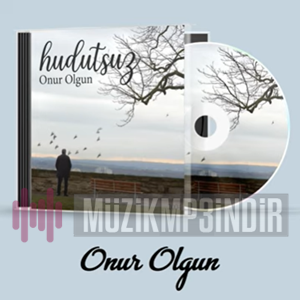 Onur Olgun -  album cover