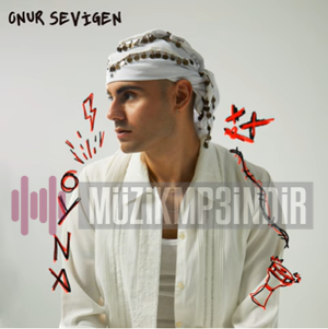 Onur Sevigen