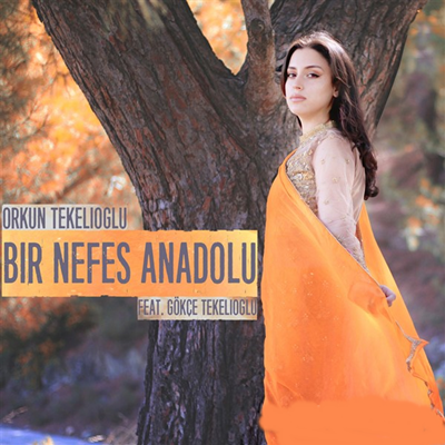 Orkun Tekelioğlu -  album cover