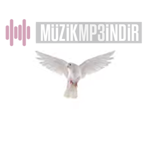 Özgen -  album cover
