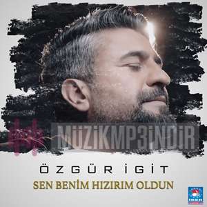 Ozgur Igit