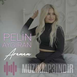 Pelin Aygiran