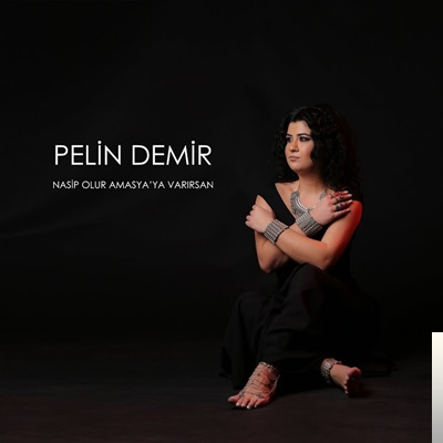 Pelin Demir