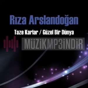 Rıza Aslandoğan -  album cover