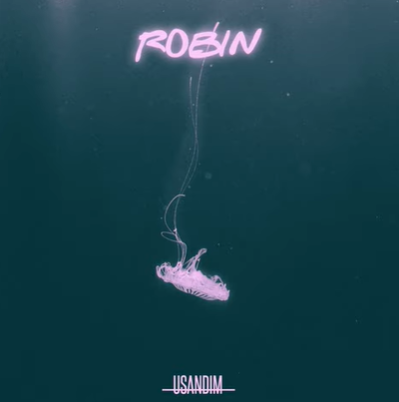 Robin -  album cover