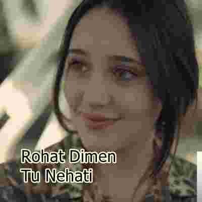 Rohat Dimen -  album cover