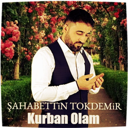 Shahabettin Tokdemir