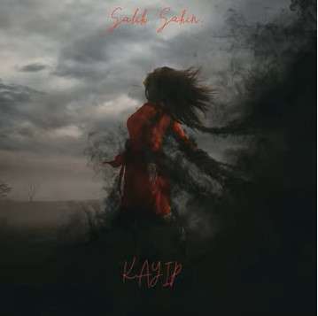 Salih Şahin -  album cover
