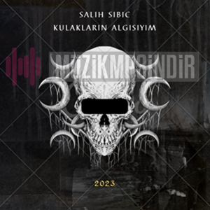 Salih Sıbıç -  album cover
