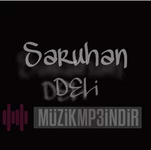 Saruhan -  album cover