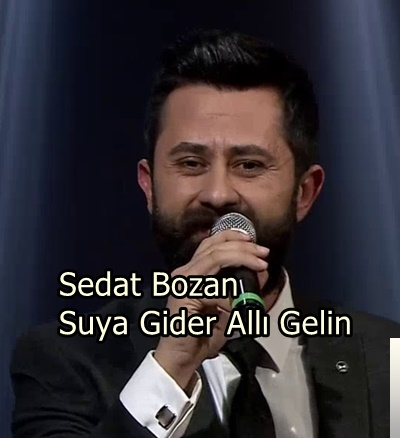 Sedat Bozan