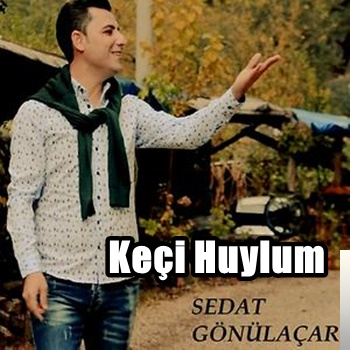 Sedat Gonulacar