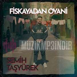 Semih Tashyurek