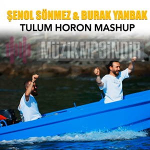 Şenol Sönmez -  album cover