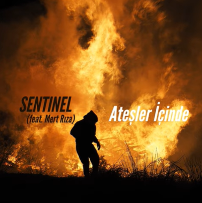 Sentinel -  album cover