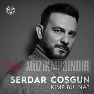 Serdar Coshgun