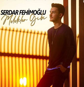 Serdar Fehimoglu