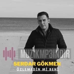 Serdar Gokmen