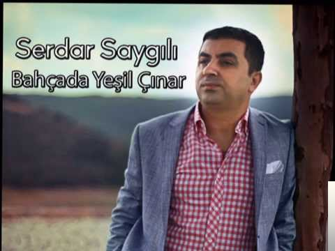 Serdar Saygili