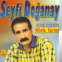 Seyfi Doğanay