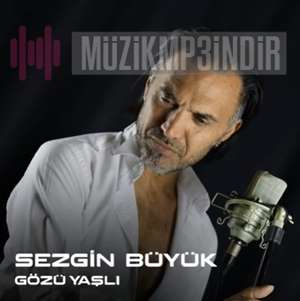 Sezgin Büyük