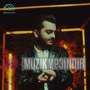 Siver Zirek -  album cover