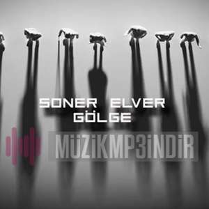 Soner Elver