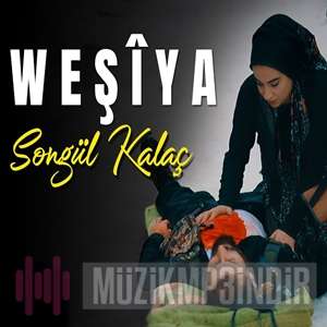 Songül Kalaç - Weşiya (2022) Albüm