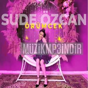 Sude Ozcan