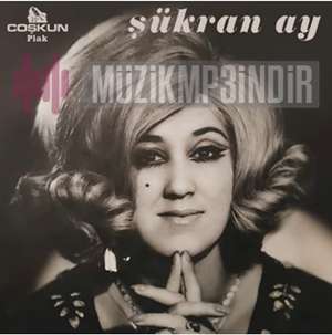 Şükran Ay -  album cover
