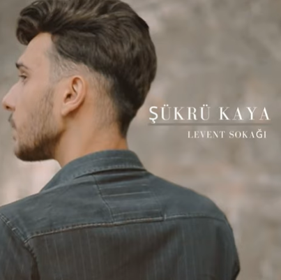 Şükrü Kaya -  album cover