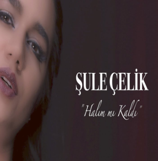 Shule Chelik