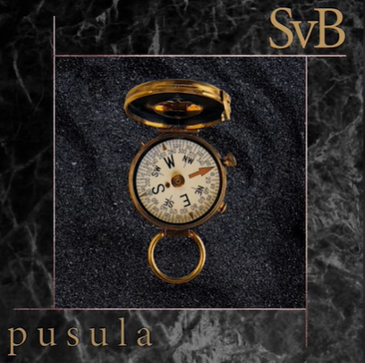 SvB -  album cover