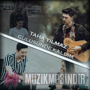 Taha Yilmaz