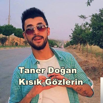 Taner Dogan