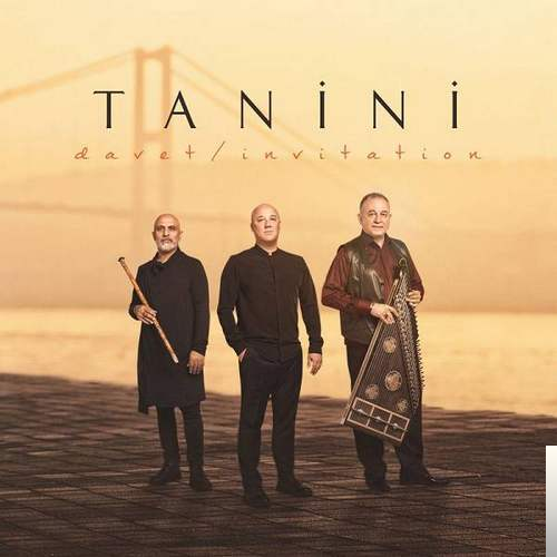 Tanini