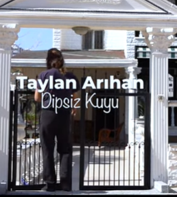 Taylan Arihan