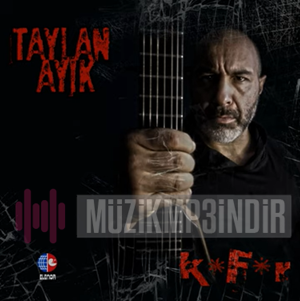 Taylan Ayik