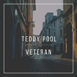 Teddy Pool