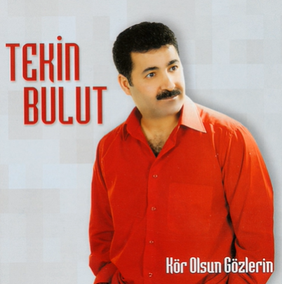 Tekin Bulut