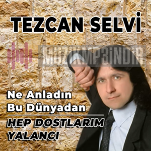 Tezcan Selvi