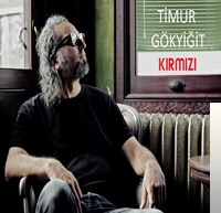 Timur Gokyigit