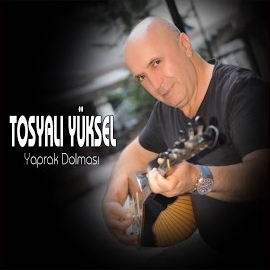 Tosyalı Yüksel