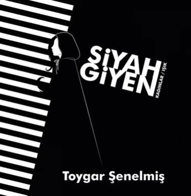 Toygar Şenelmiş -  album cover