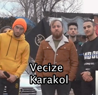 Vecize