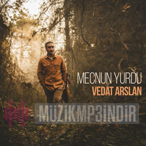 Vedat Arslan