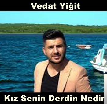 Vedat Yiğit