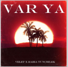 Velet -  album cover