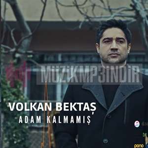 Volkan Bektash