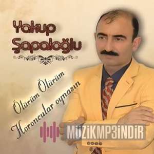 Yakup Şapaloğlu